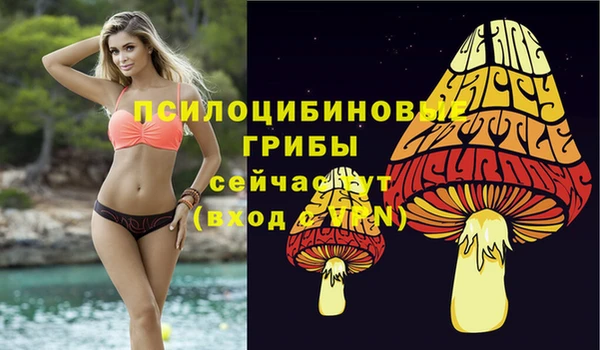 хмурый Алексеевка