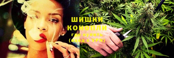 шишки Гусиноозёрск