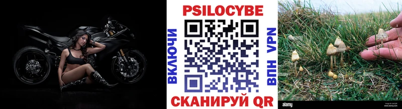 Псилоцибиновые грибы Psilocybe  как найти закладки  Евпатория 